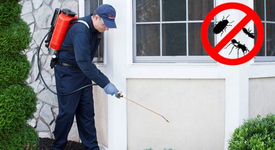 Biga Akrep İlaçlama böcek ilaçlama ve haşere kontrolü — ilaclama-tr.com